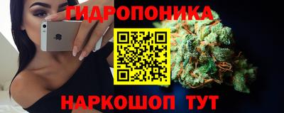 стафф Ленинск-Кузнецкий