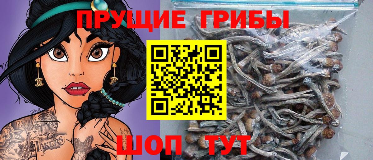 Галлюциногенные грибы мухоморы  Вход с VPN  Углич 