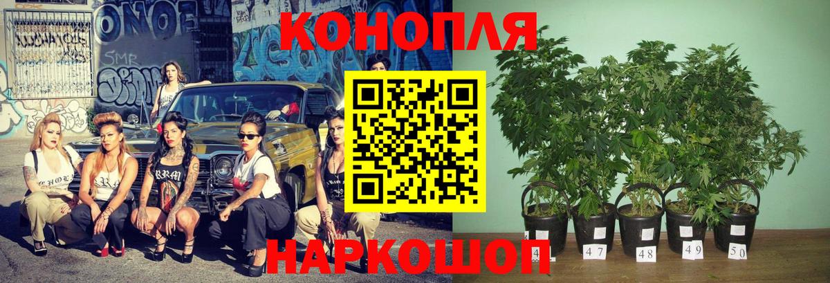 МАРИХУАНА марихуана Углич
